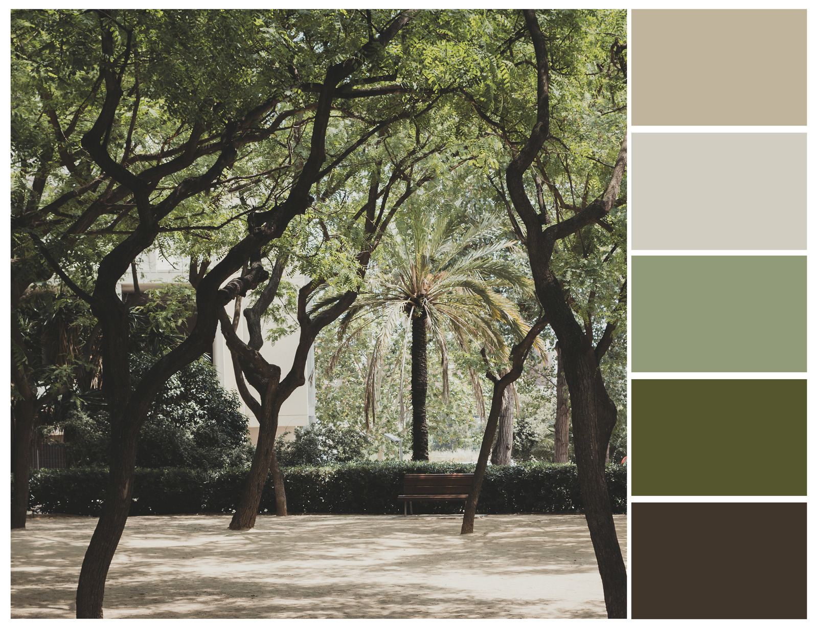 Harmonious color combinations. Green and beige color palette.